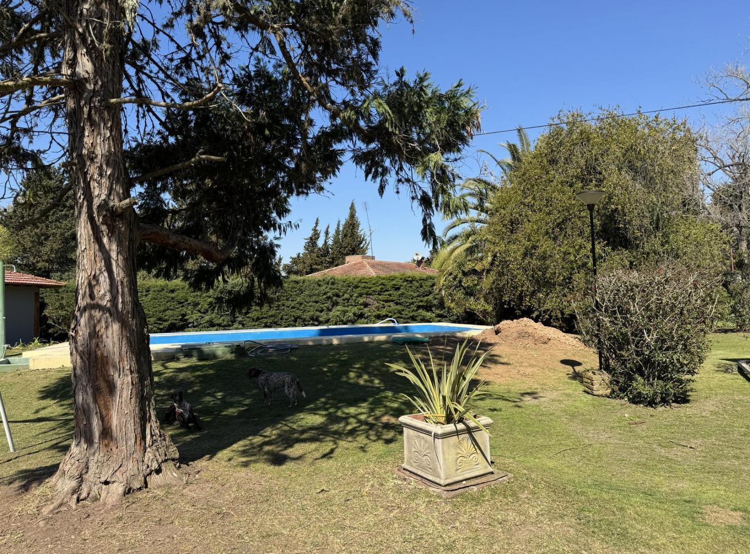 Foto de Casa en venta, 3 dormitorios, una planta s/ lote de 2.152 m2 | Calle, imagen 5