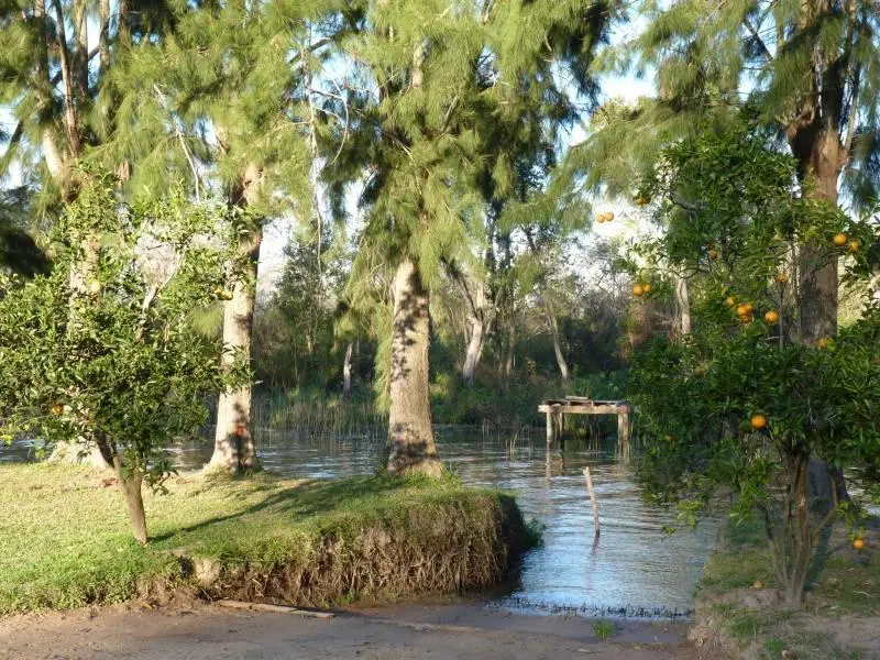 Alquila cabaña en el Delta del Tigre. Arroyo Las Animas y Paraná de las Palmas. 4