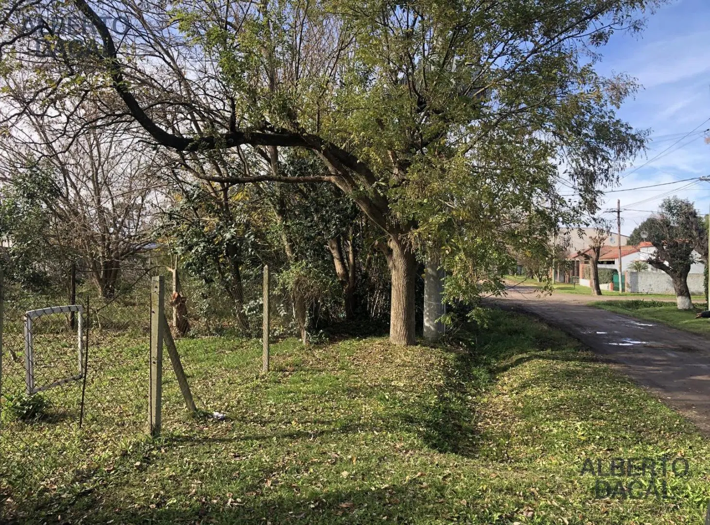 Terreno - Venta - Villa Elisa 4
