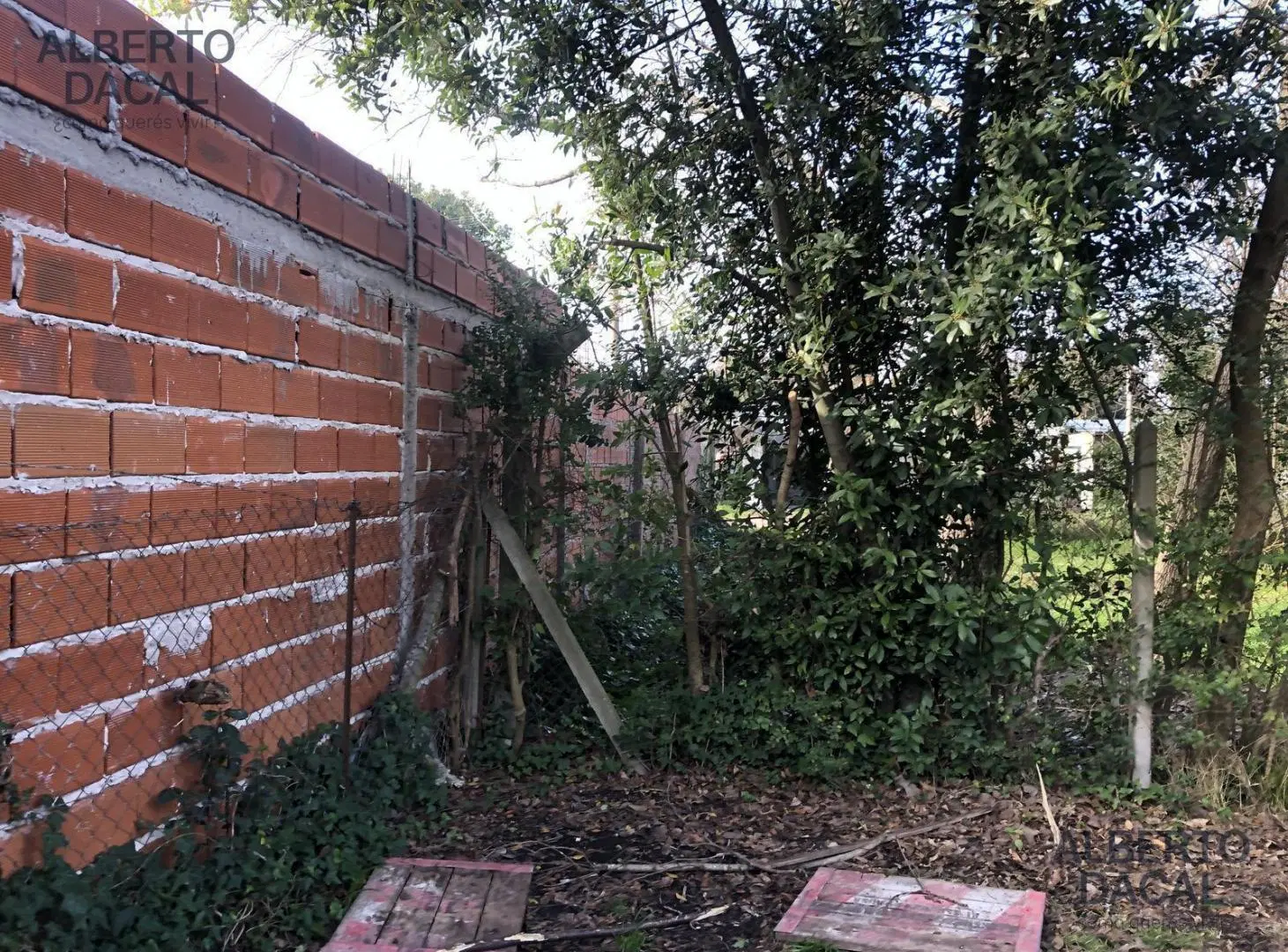 Terreno - Venta - Villa Elisa 5