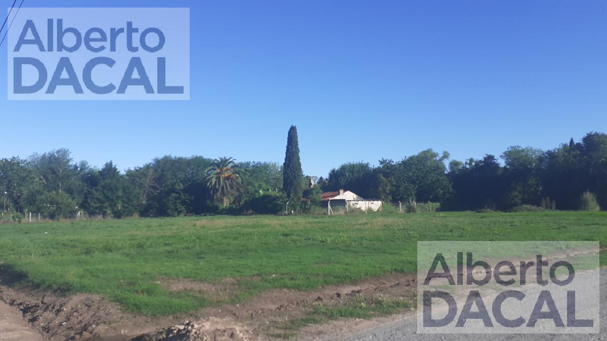 Foto de Terreno - Villa Elisa, imagen 5