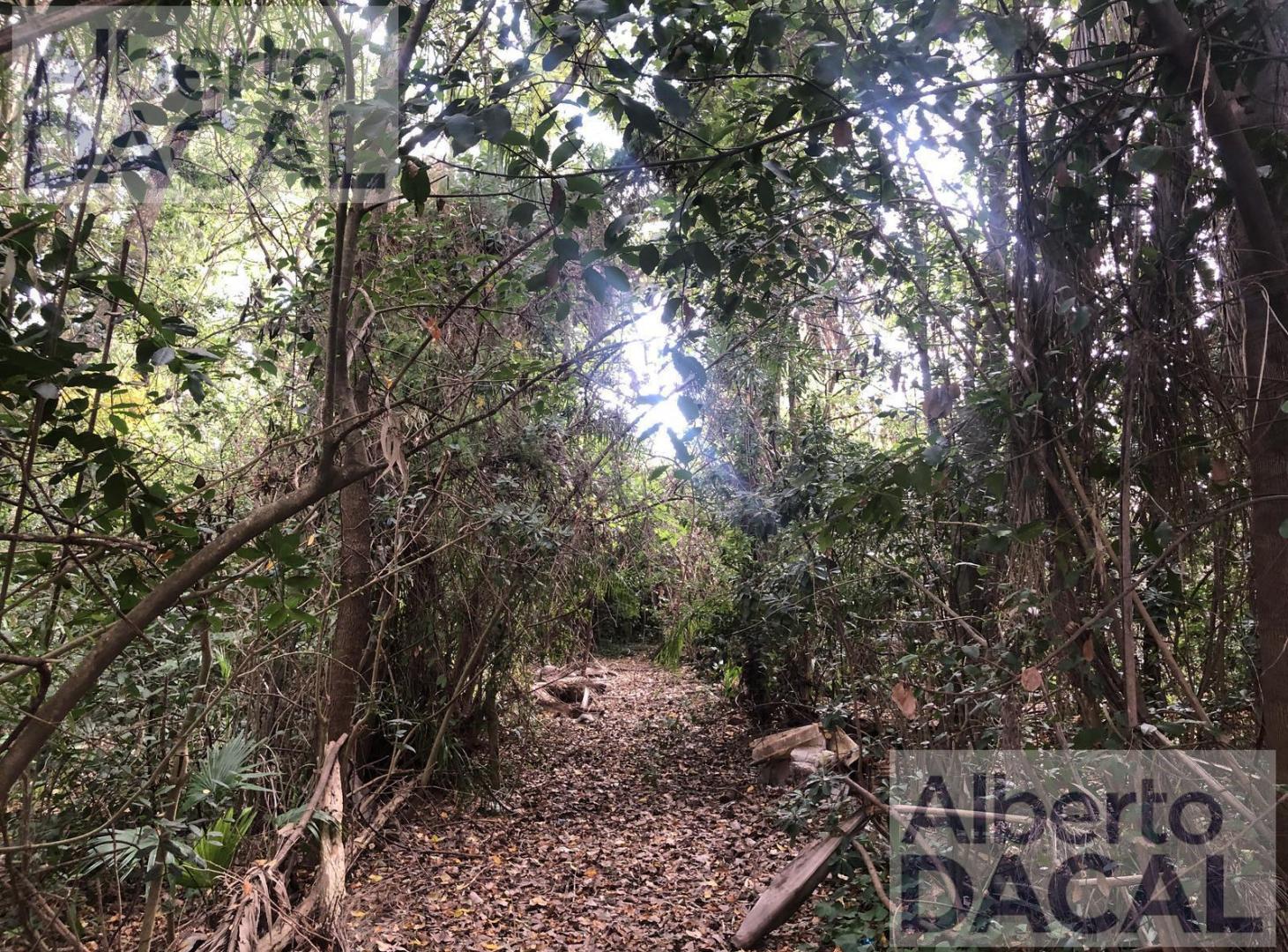 Foto de Terreno en venta en City Bell, imagen 3