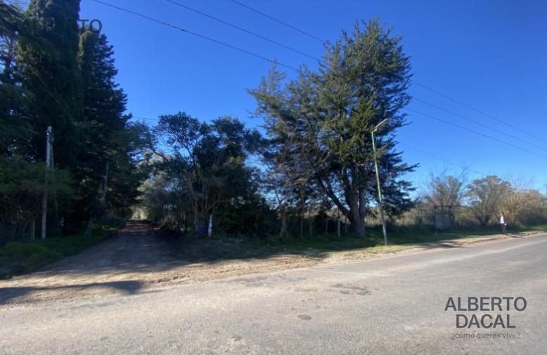 Foto de Sobre avenida principal fraccion de una hectarea, imagen 1
