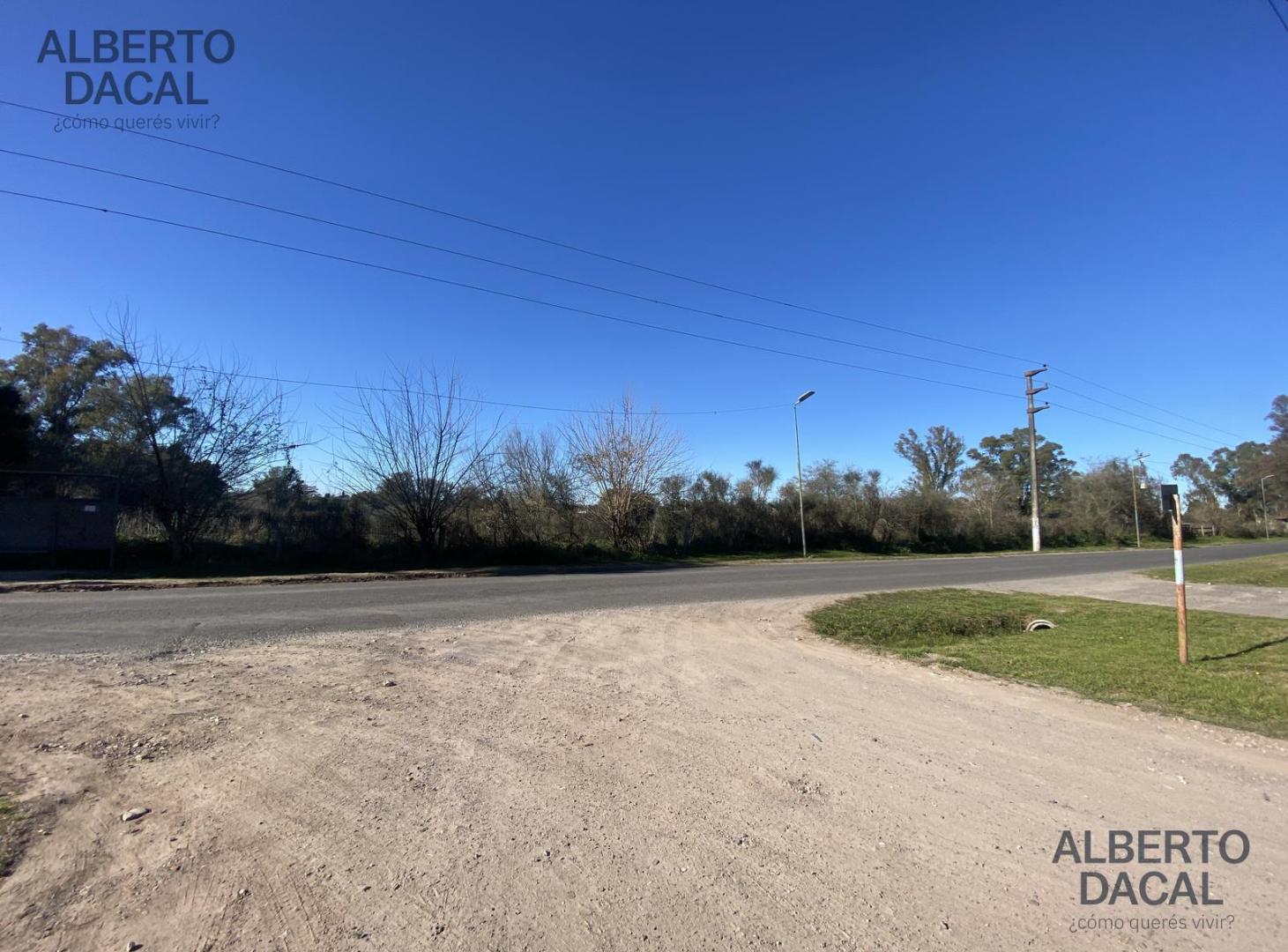 Foto de Sobre avenida principal fraccion de una hectarea, imagen 5