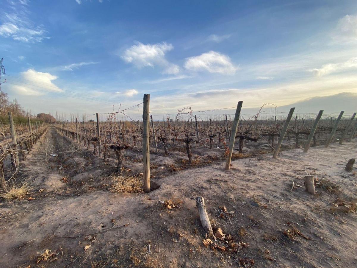 Lote en Venta en Coquimbito Maipú 3