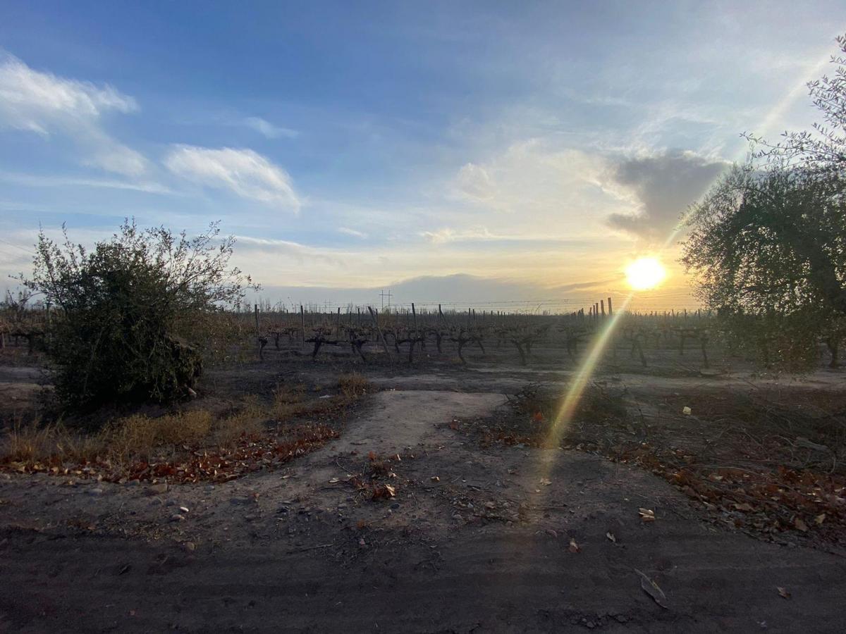 Lote en Venta en Coquimbito Maipú 4