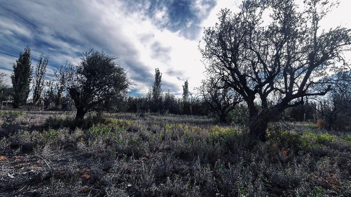 Venta Lote en Fray Luis Beltrán - Maipu 1