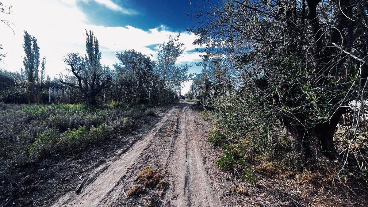 Venta Lote en Fray Luis Beltrán - Maipu 5