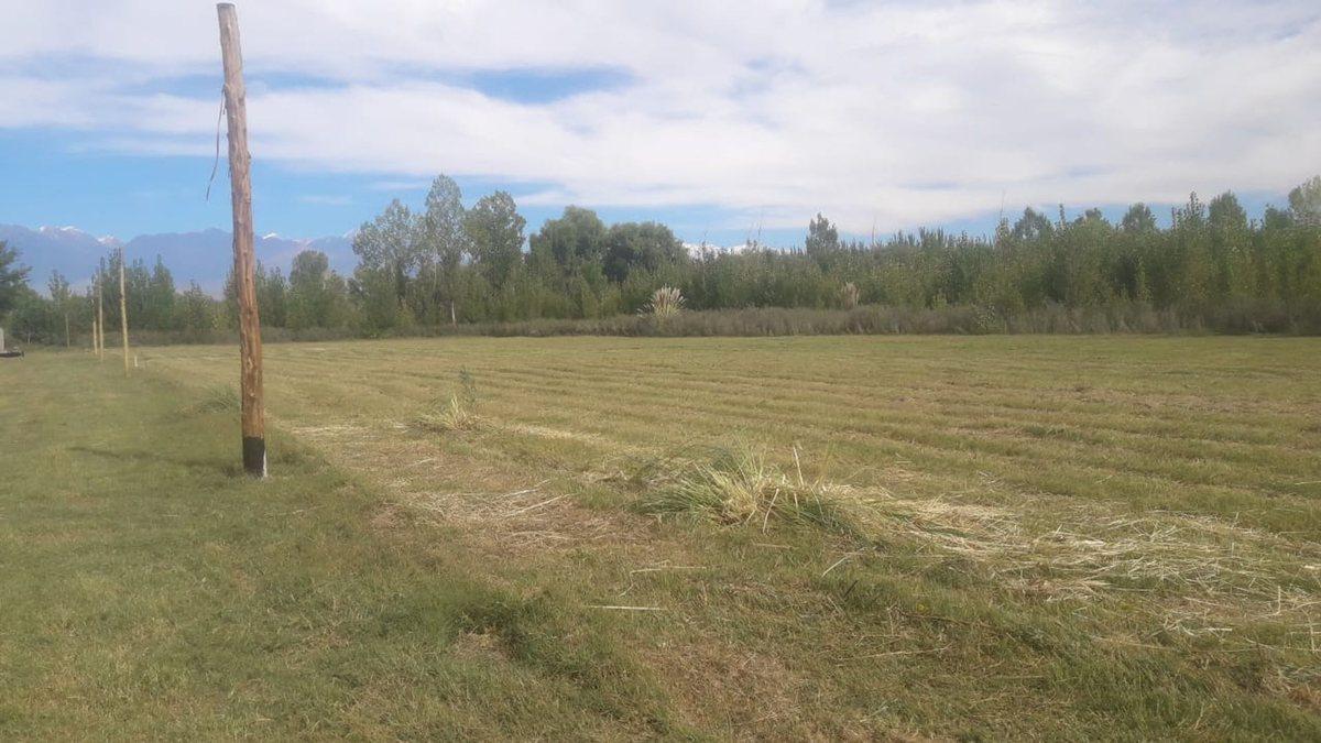 Venta Terreno La Consulta, San Carlos 2