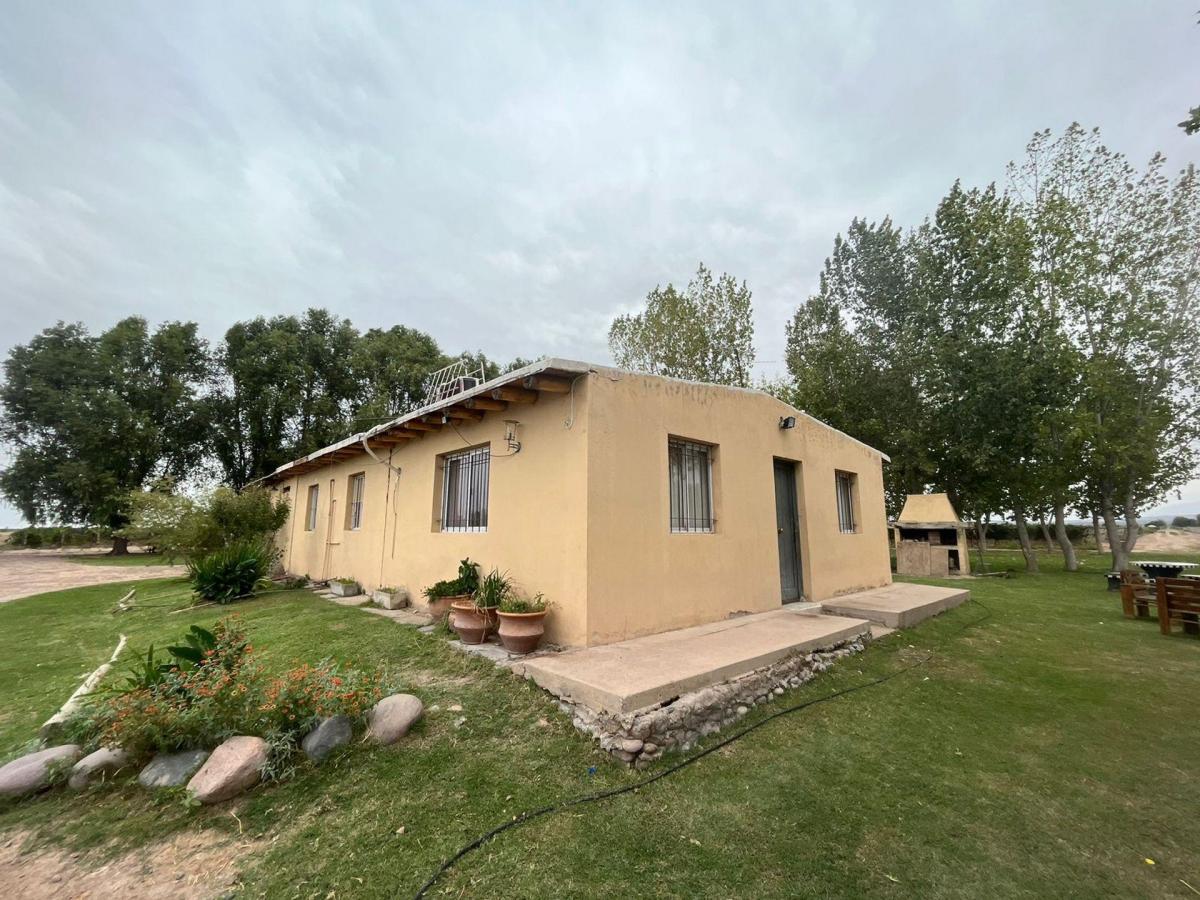 Venta Finca Barrancas, Mendoza, 60 Ha 2