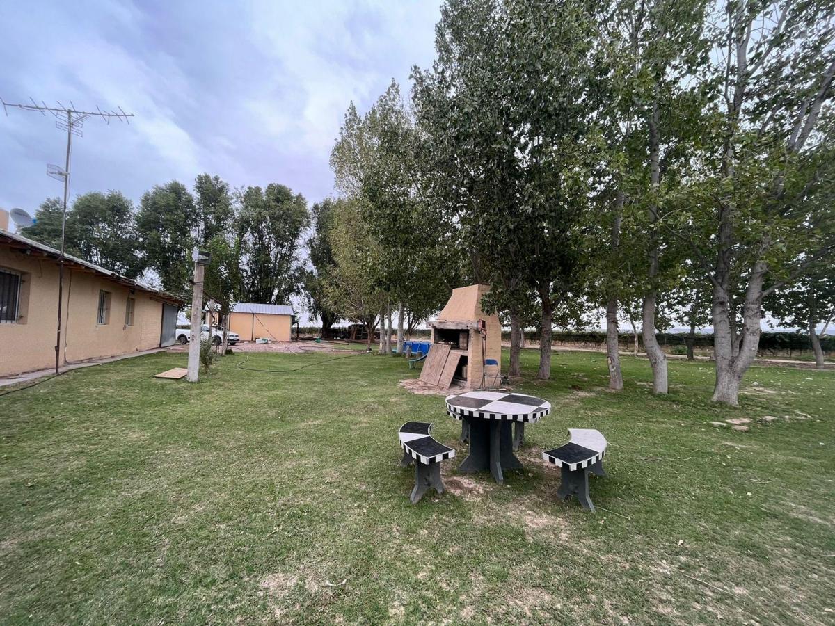 Venta Finca Barrancas, Mendoza, 60 Ha 3