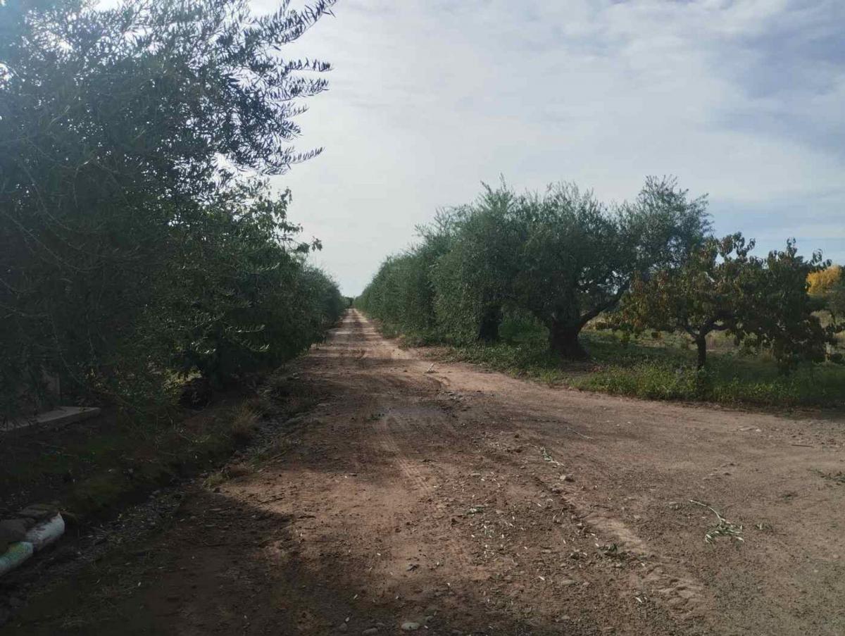 Hermoso Terreno 10 Has Venta Cruz de Piedra Maipu 3