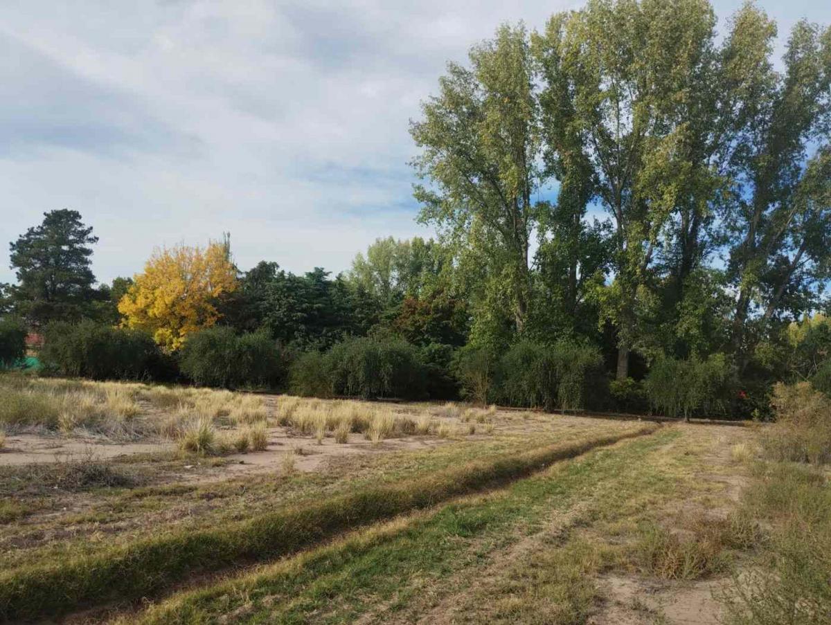 Hermoso Terreno 10 Has Venta Cruz de Piedra Maipu 5
