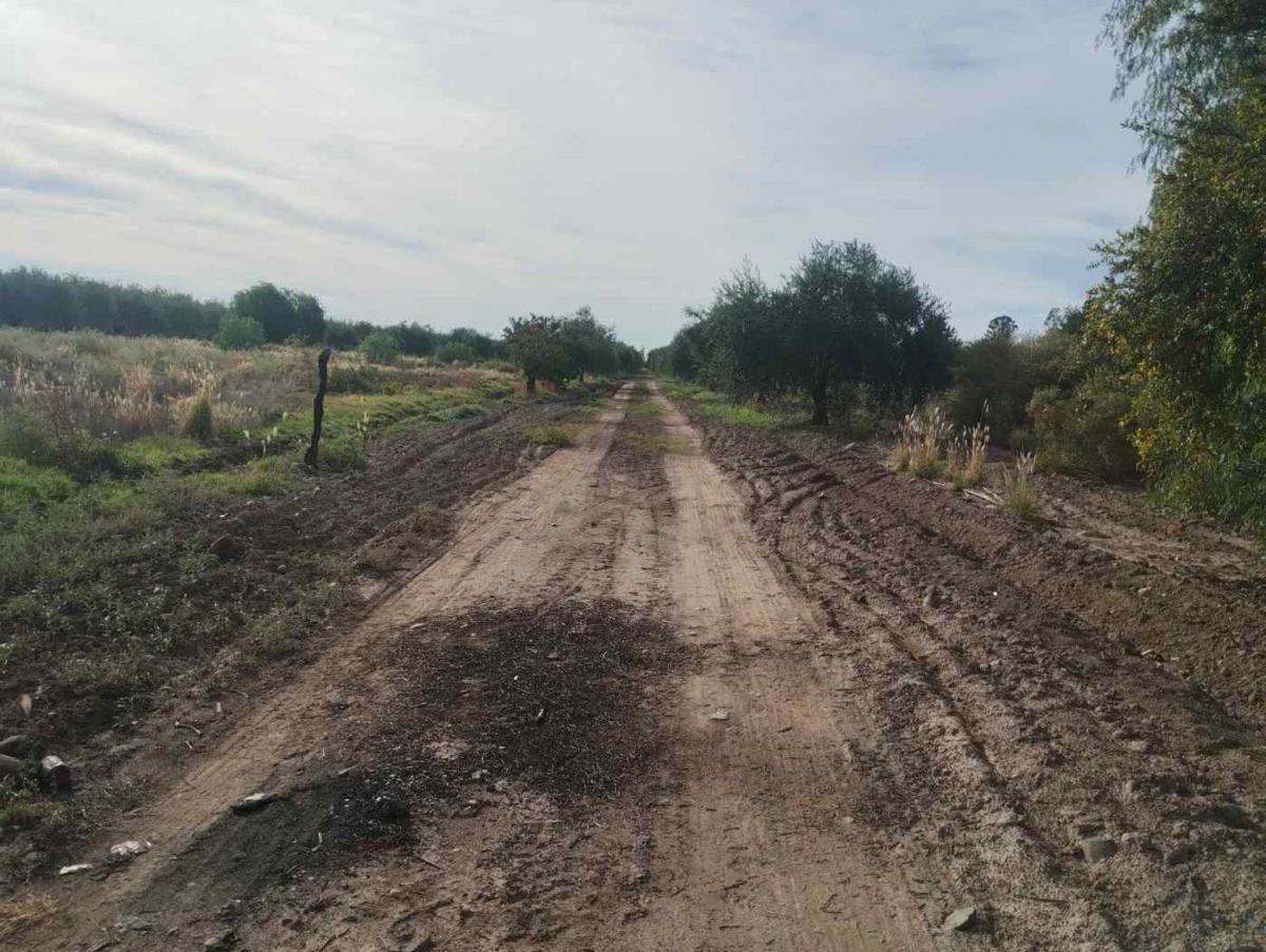 Hermoso Terreno 10 Has Venta Cruz de Piedra Maipu 2