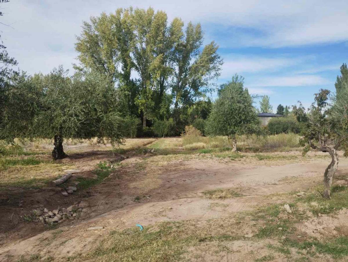 Hermoso Terreno 10 Has Venta Cruz de Piedra Maipu 4