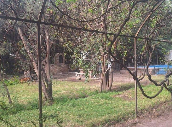 VENTA-TERRENO CON PISCINA Y CABAÑAS-LUJÁN-MENDOZA 5