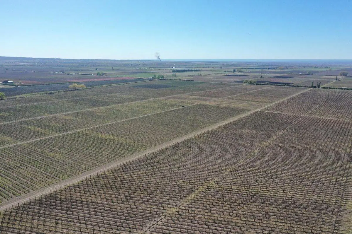 Venta Finca OrgánicaTupungato Mendoza 5