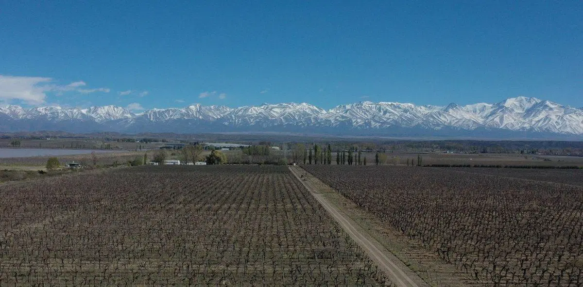 Venta Finca OrgánicaTupungato Mendoza 2