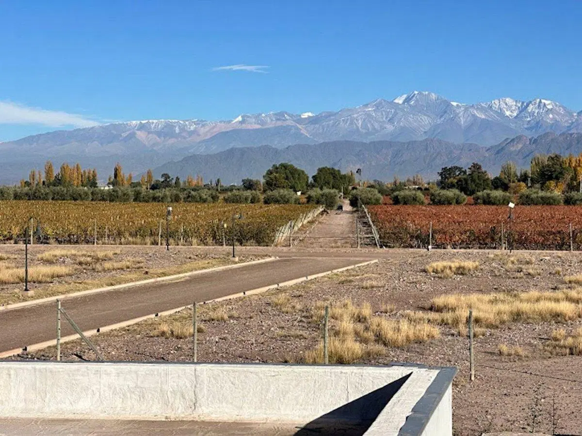 VENTA TERRENO COMPLEJO CERRADO CARRASCAL MENDOZA 2