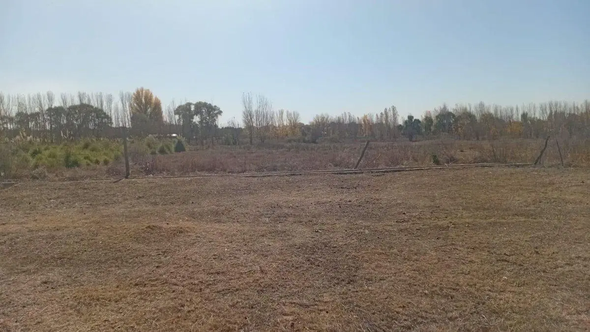 VENTA LOTE!!! COLONIA LAS ROSAS, TUNUYÁN 5