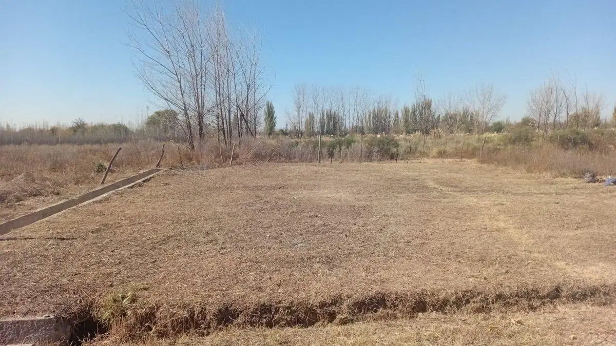 VENTA LOTE!!! COLONIA LAS ROSAS, TUNUYÁN 2