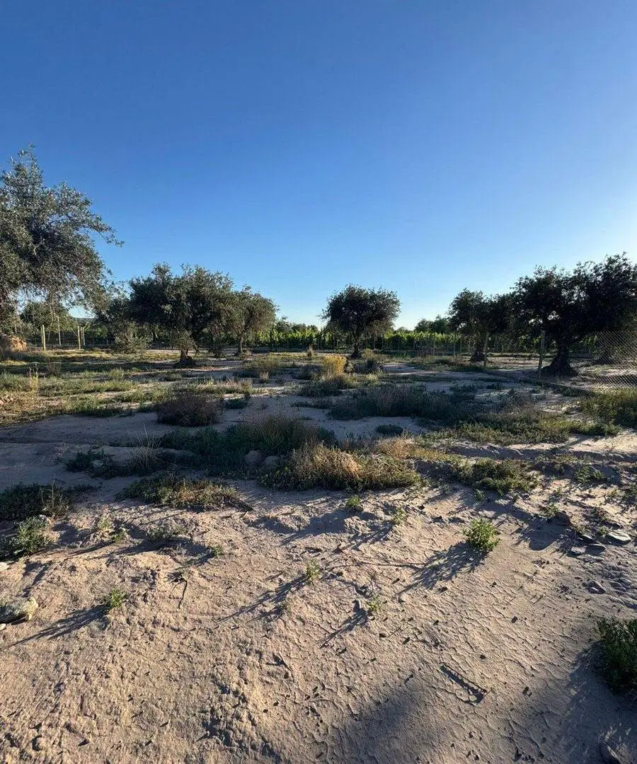 Venta Lote 500m2 Barrio Privado Ayres de Terrada 4