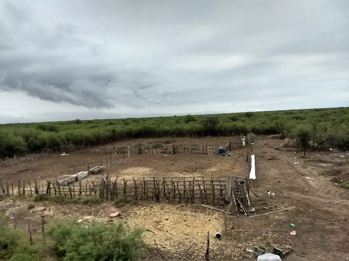 CAMPO GANADERO Oportunidad 1200 hectareas 5