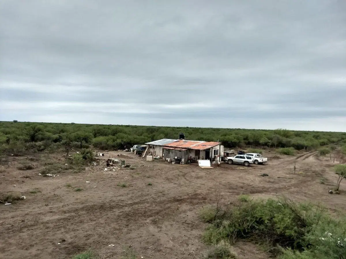 CAMPO GANADERO Oportunidad 1200 hectareas 2