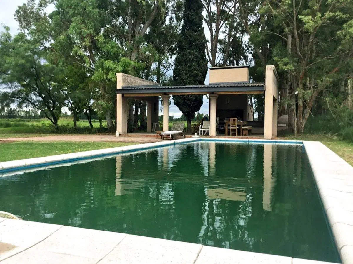 VENTA CAMPO GANADERO 400 Ha. GOUDGE SAN RAFAEL MDZ 4
