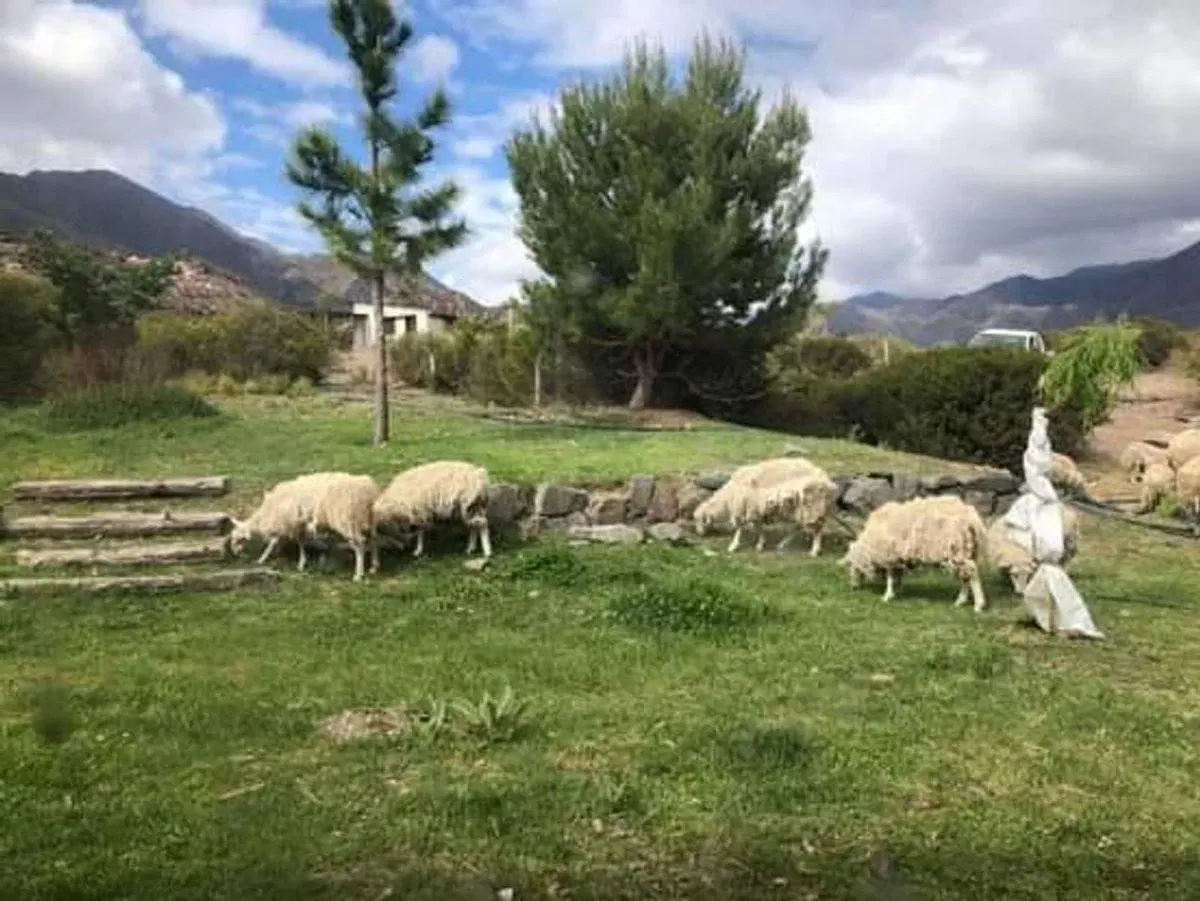 TERRENO EN VENTA COSTA NORTE POTRERILLOS 5