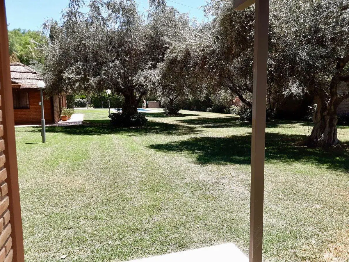 VENTA CASA EN CALLEJON PRIVADO O EL OLIVAR 2