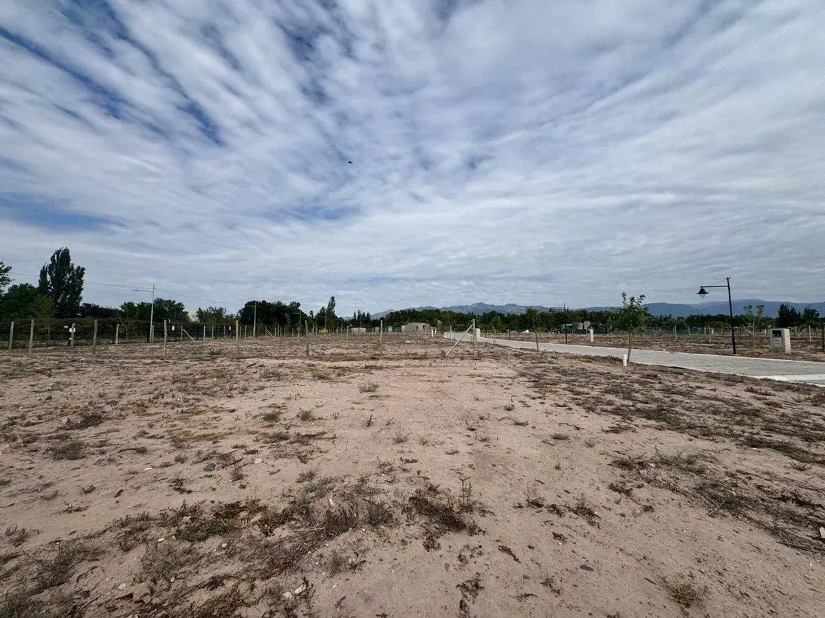 LOTE EN VENTA B. RINCON DE CORIA - LUJAN DE CUYO. 5