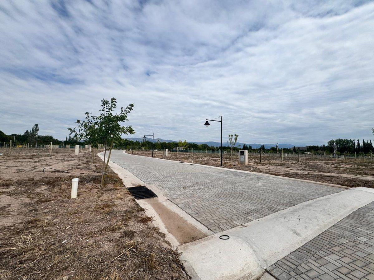 LOTE EN VENTA B. RINCON DE CORIA - LUJAN DE CUYO.