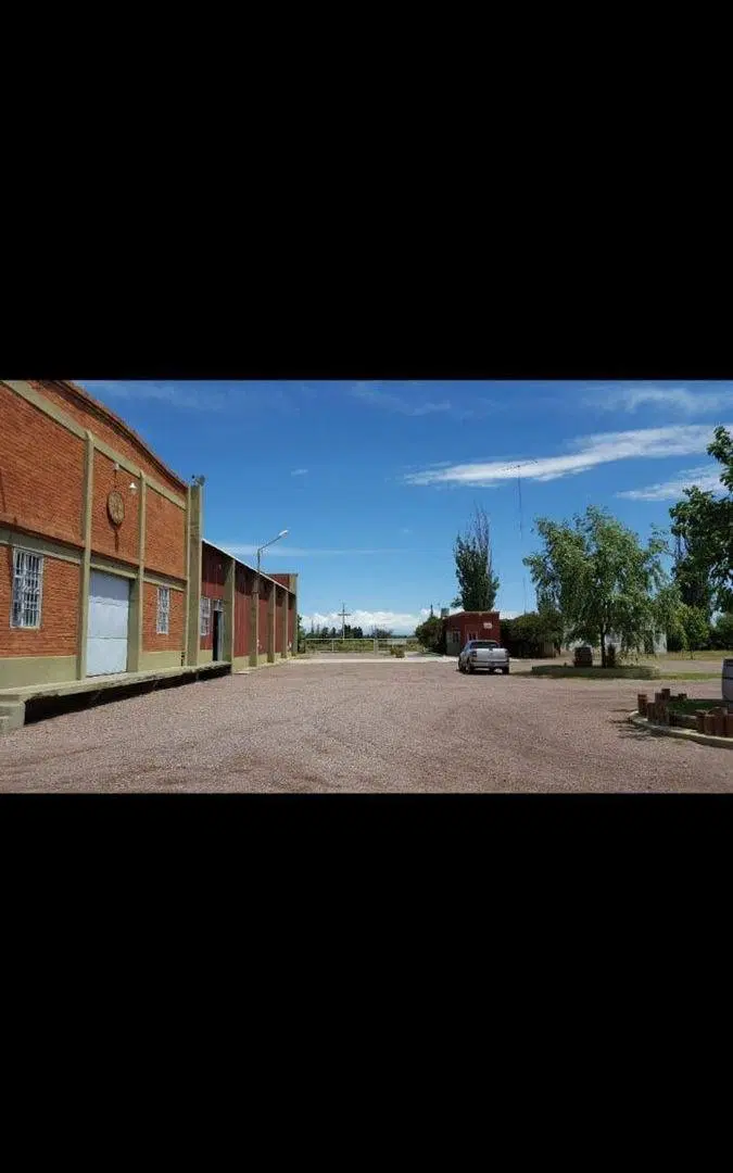BODEGA VENTA EN FUNCIONAMIENTO SAN MARTIN MENDOZA 4