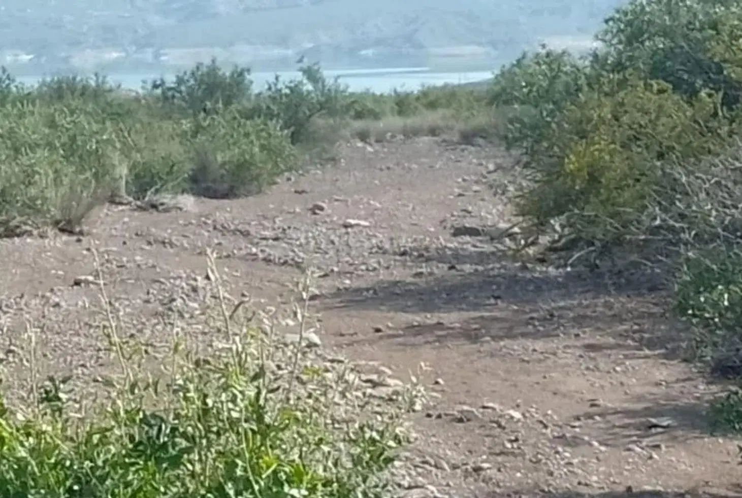 Venta de lote en Potrerillos 5