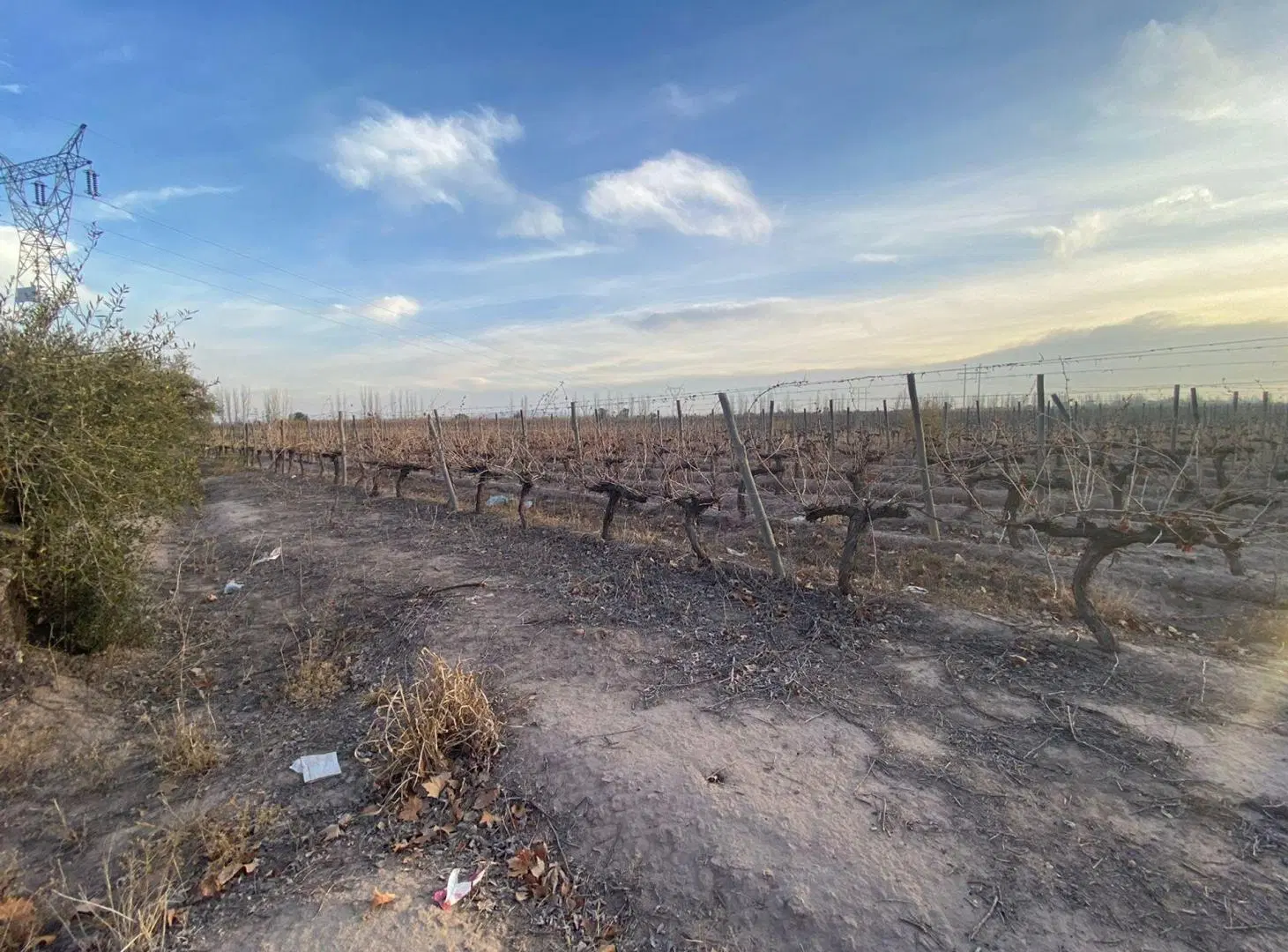 Lote en Venta en Coquimbito Maipú 3