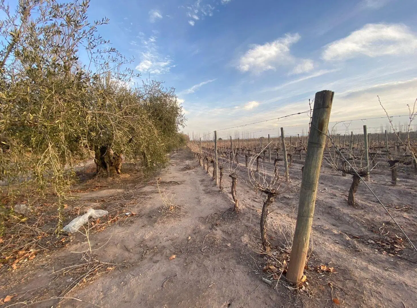 Lote en Venta en Coquimbito Maipú 2