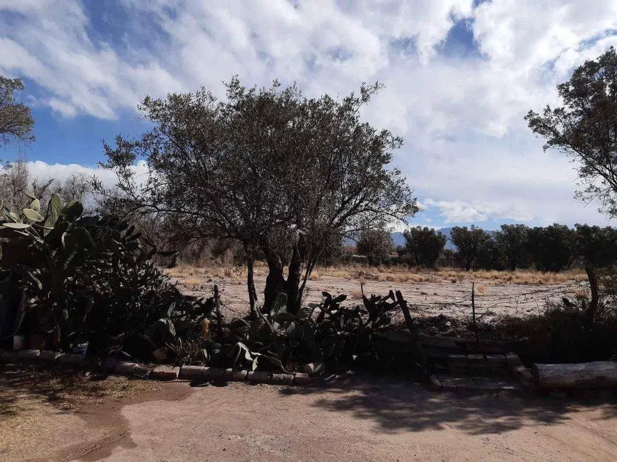 Lote 17.800 m2 venta calle Azcuénaga Lujan de Cuyo 3