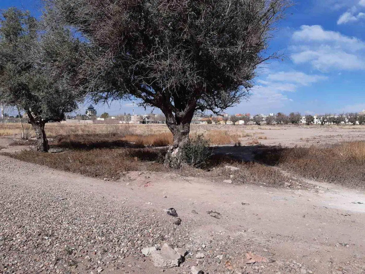 Lote 19.000 m2 venta Evans y Godoy Cruz Lujan de C 4