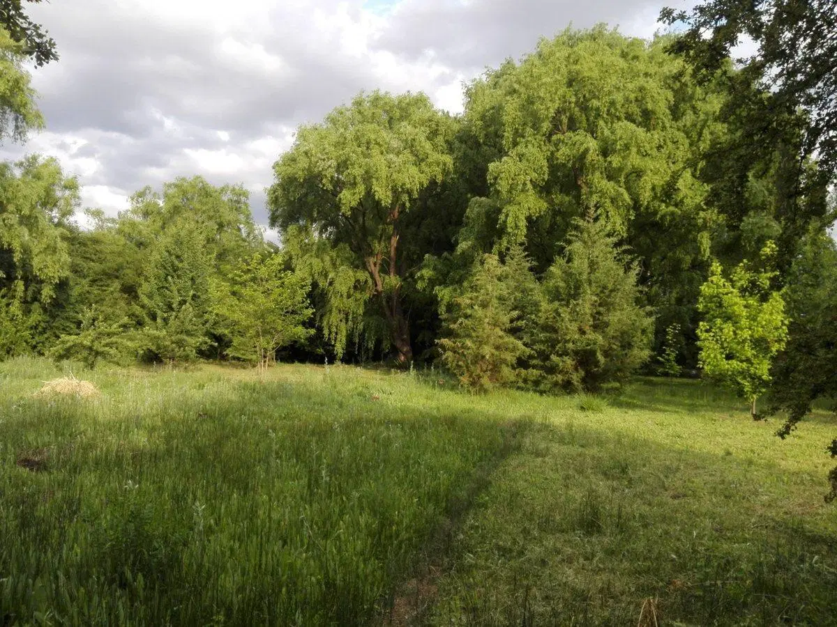 Terreno 8300 m2 en Venta La Primavera Valle de Uco 3
