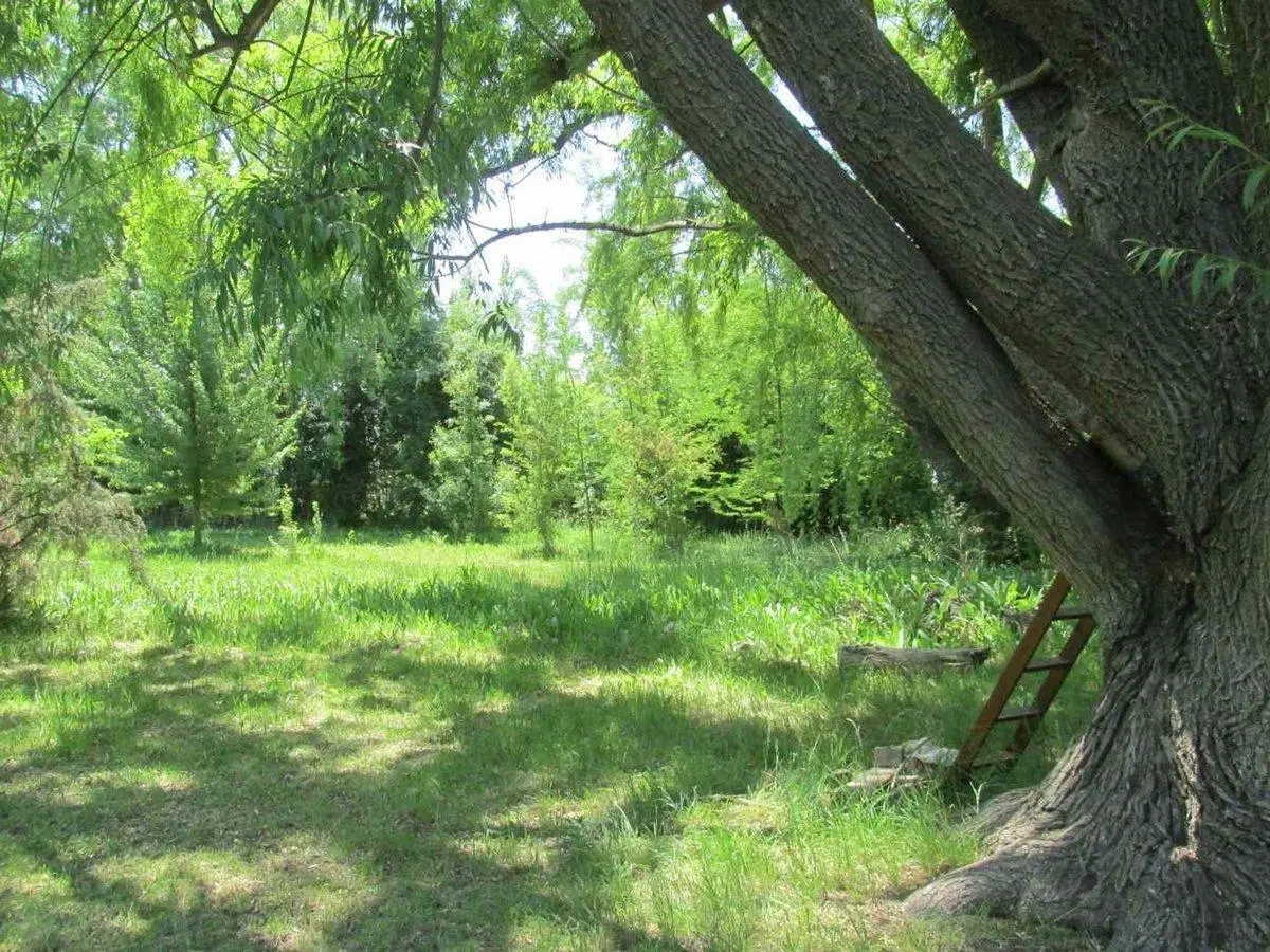 Terreno 8300 m2 en Venta La Primavera Valle de Uco 5