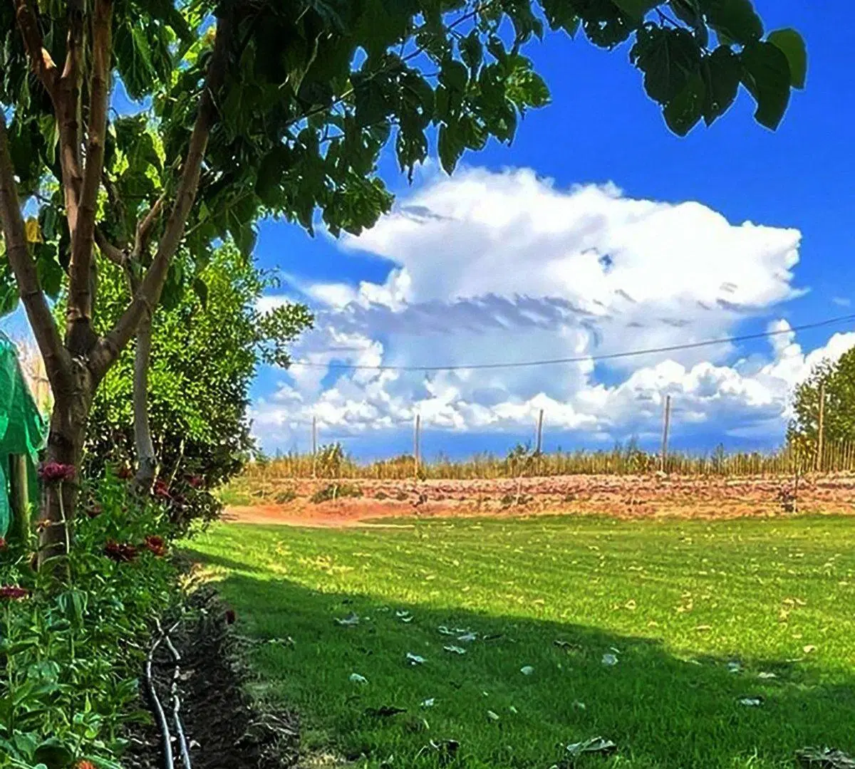 VENTA CASA QUINTA, QUINCHO, PISCINA, GRAN LOTE! 2