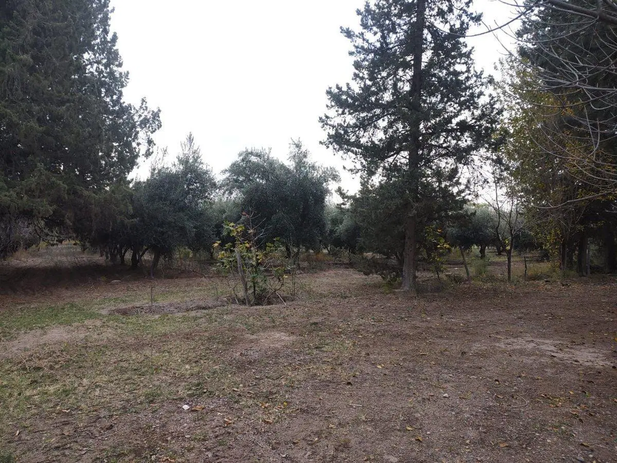 VENTA FINCA 75 Ha c/pozo - La Dormida 2