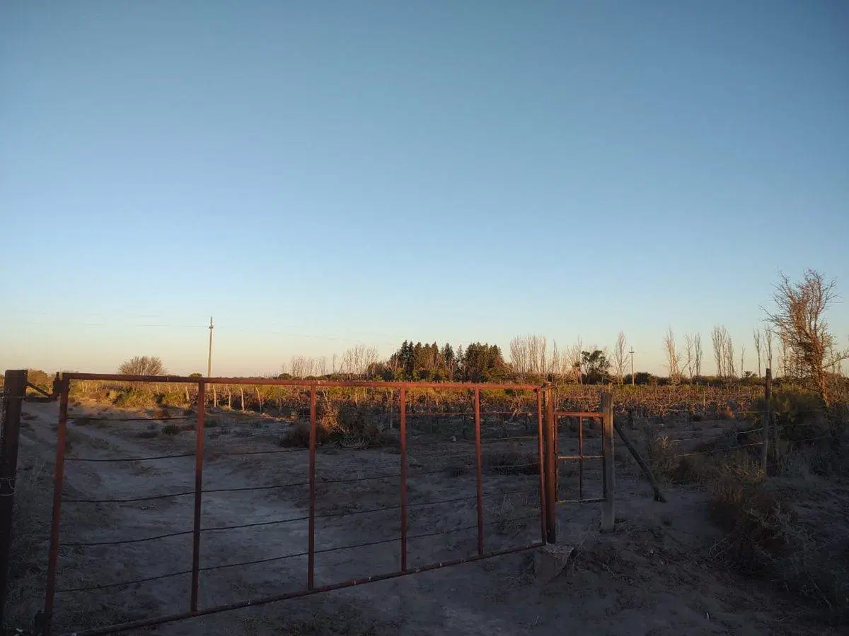 VENTA FINCA 75 Ha c/pozo - La Dormida 3