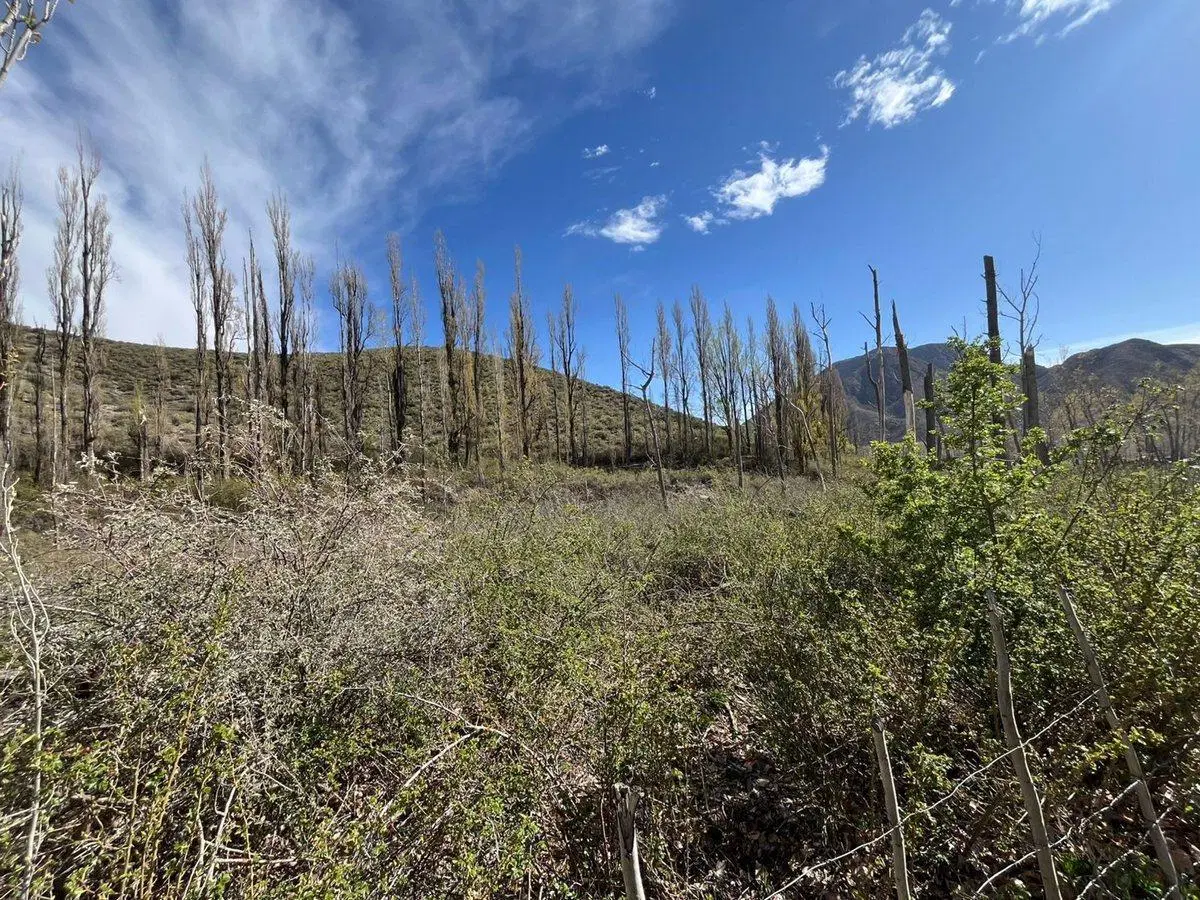 Terreno en venta, El Salto, Potrerillos 4