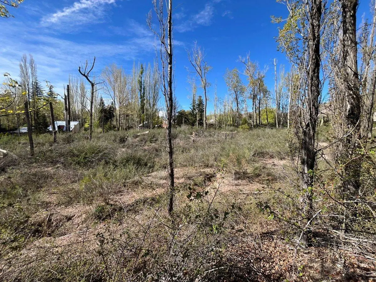 Terreno en venta, El Salto, Potrerillos 3