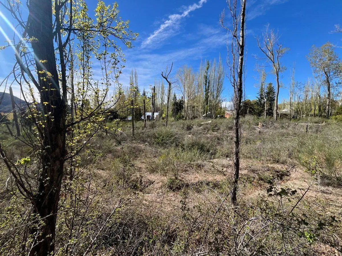 Terreno en venta, El Salto, Potrerillos 5