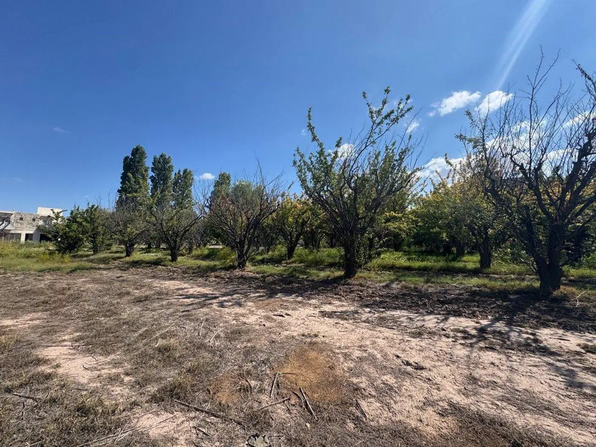 LOTE EN VENTA LAS HERAS MENDOZA 4