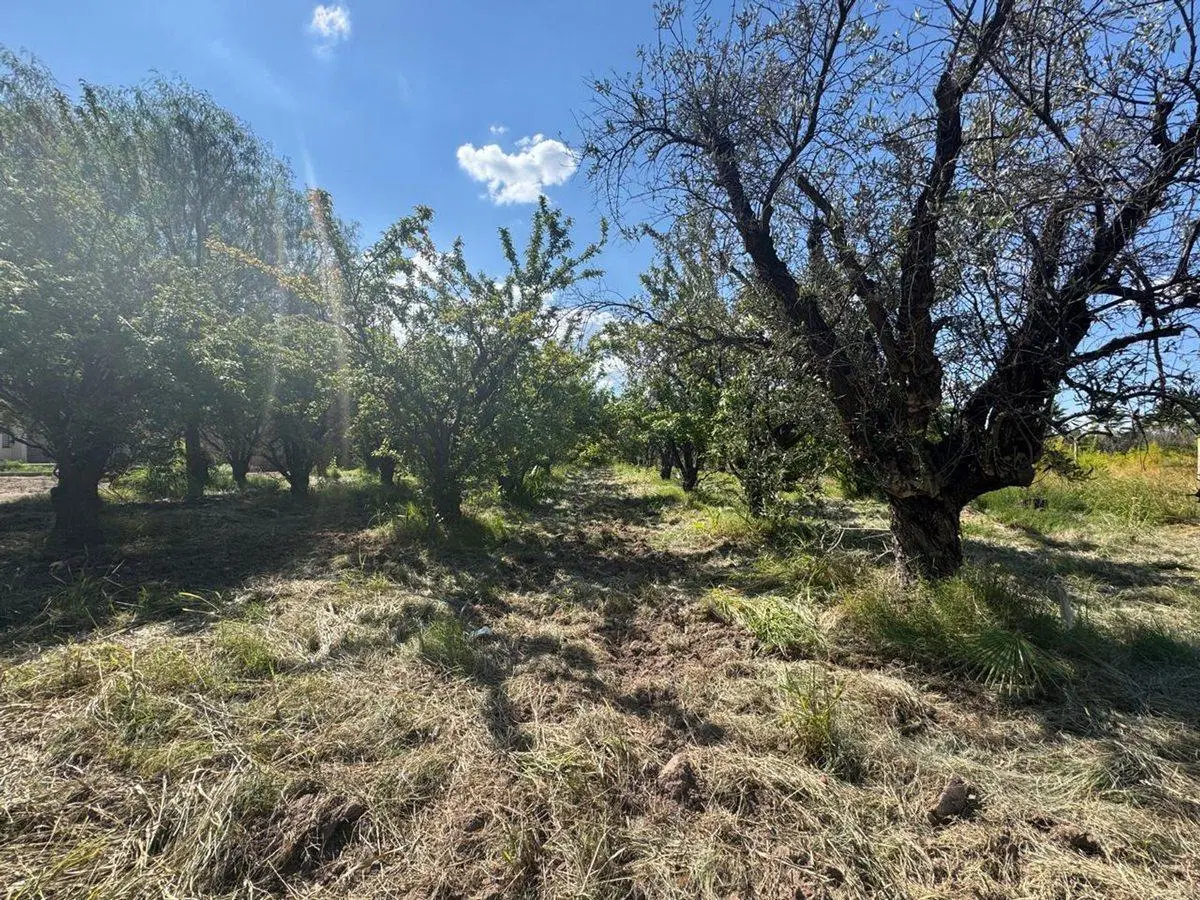 LOTE EN VENTA LAS HERAS MENDOZA 5