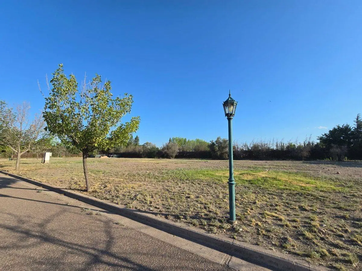 VENTA LOTE EN LA VACHERIE, MENDOZA 5